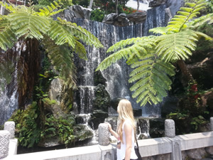 Taiwan Waterfall
